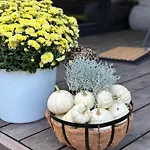 Cudomki Nad Jeziorem Krzywym * Piecki (Warmian-Masurian)