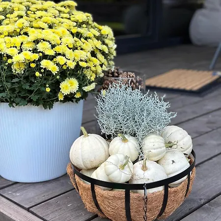 Cudomki * Piecki (Warmian-Masurian)