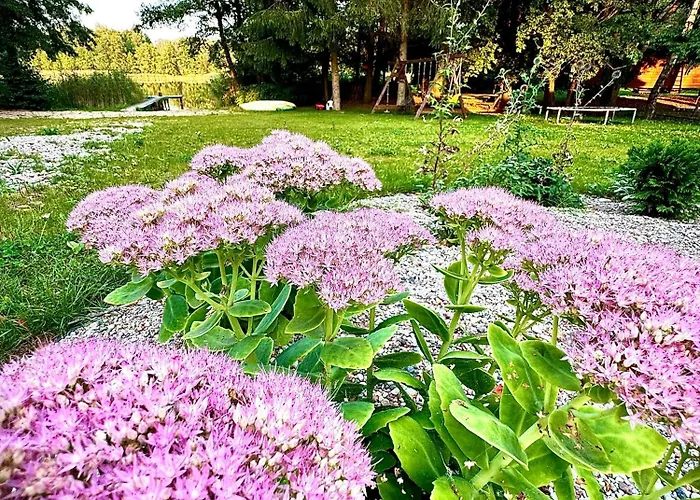 Cudomki شاليه *