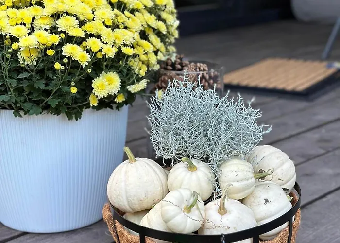 Cudomki * Piecki (Warmian-Masurian)